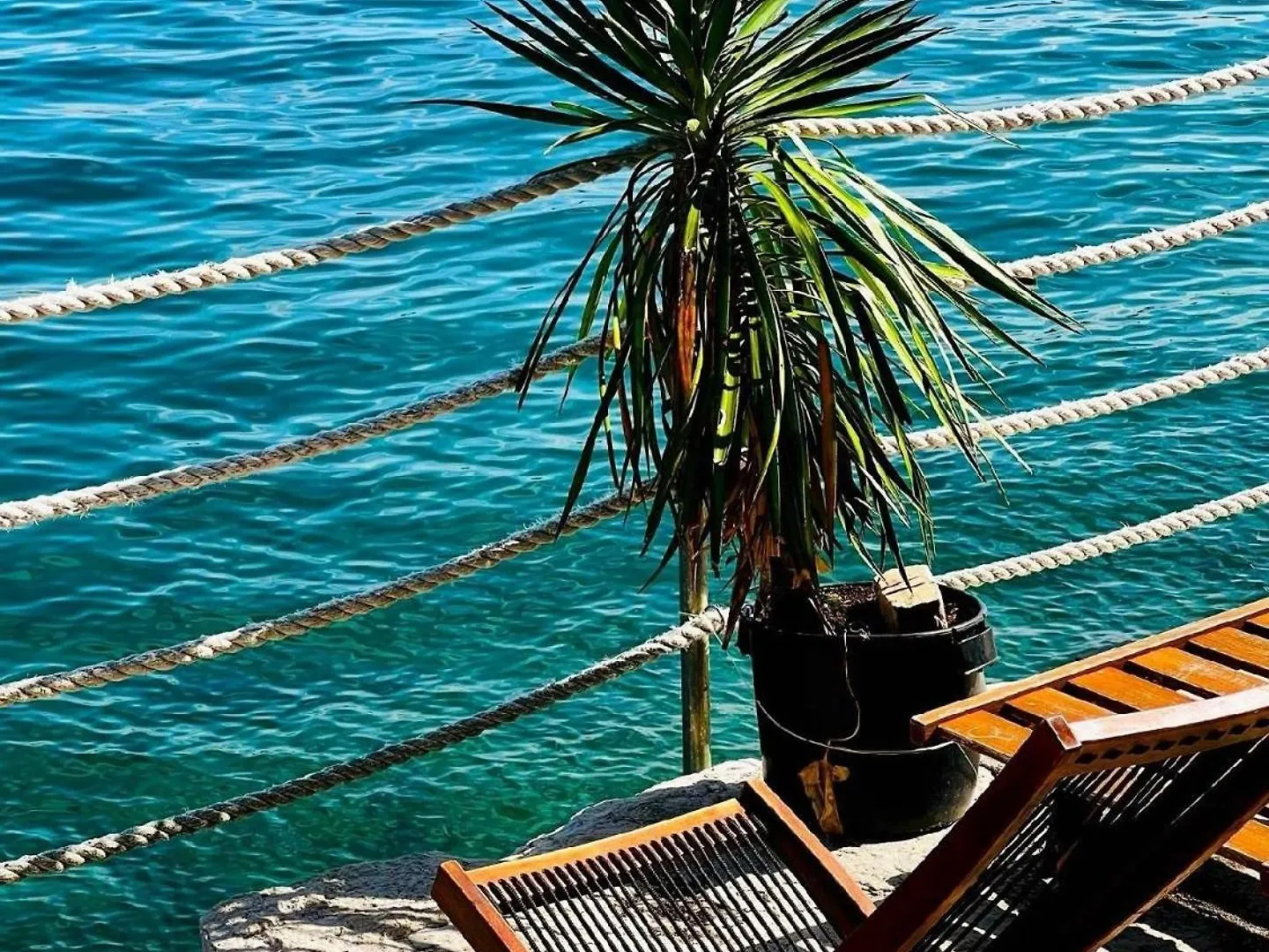 Ferienwohnung In Rovinj Mit Garten Und Terrasse Und Meerblick Apartment
